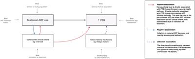 Methodological Considerations for Preterm Birth Research